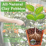 Legigo 4LB Leca Clay Pebbles for Plants, 4mm-16mm Clay Balls for Hydroponic