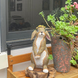 Lonyin Rabbit Garden Statue, Bunny Animal Figurines Indoor Outdoor Statues