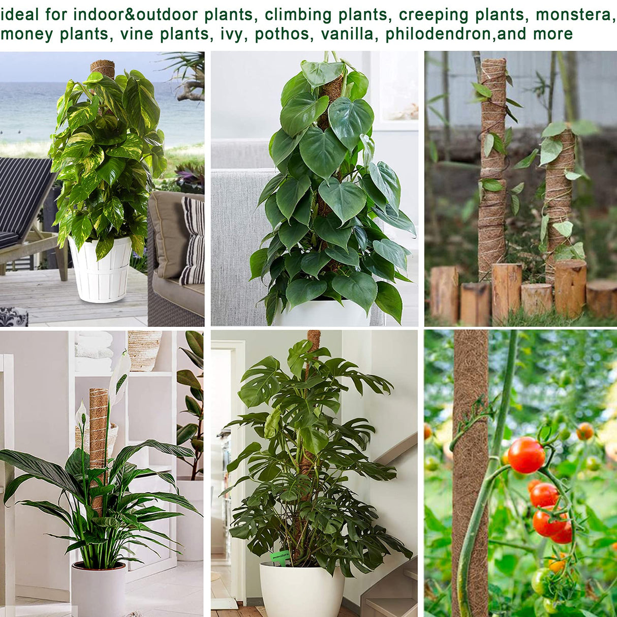Fabulas Moss Pole 58.7 Inch - Monstera Plant Support 5 Pack, 17.5" and 12" Plant Stakes for Indoor Plants Coco Coir Moss Pole Sticks for Climbing Potted Live Plants, Pothos, Philodendron