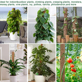 Fabulas Moss Pole 58.7 Inch - Monstera Plant Support 5 Pack, 17.5" and 12" Plant Stakes for Indoor Plants Coco Coir Moss Pole Sticks for Climbing Potted Live Plants, Pothos, Philodendron