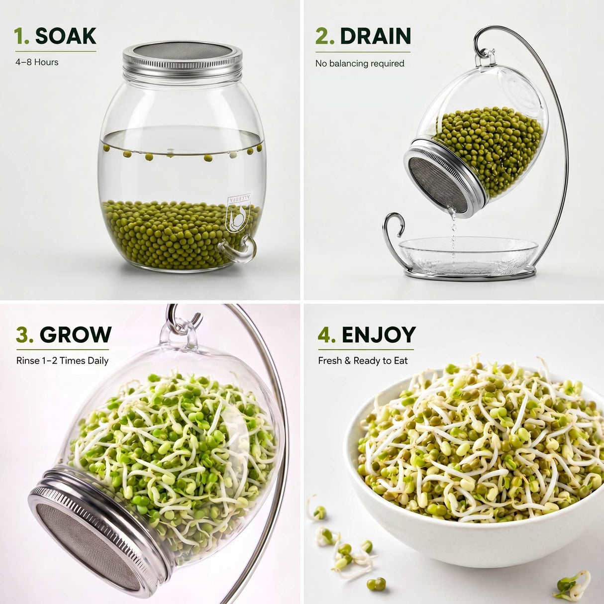 ALCEDIA Premium Sprouting Jar Kit - Unique 30 oz Wide Mouth Sprouting Jar, Stand, Tray and 316 Stainless Screen Lid | Decorative Indoor Seed Sprouter and Germinator (1 Kit)
