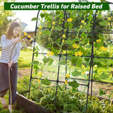 whiffee 7.3FT Cucumber Trellis for Raised Bed, Garden Arch Trellis with Net