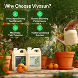VIVOSUN Liquid Nutrients Base A & B Bundle, Set of 32oz