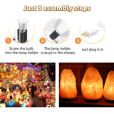 Norward 3 Set Blow Mold Light Kit Replacement,E27 E26 Single Bulb Cord Kit for Halloween,Christmas,Salt Lamp,Craft Indoor Outdoor Decorations,Salt Lamp Base with Switch Fuse Plug