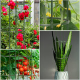 Round Heavy Duty Tomato Cage - 55 Inch Steel Core Plastic Coated Garden Trellis, 4-Post Rustproof Plant Support for Tomato/Cucumber/Beans, No Tools Snap Assembly, Spare Parts Available 1PS