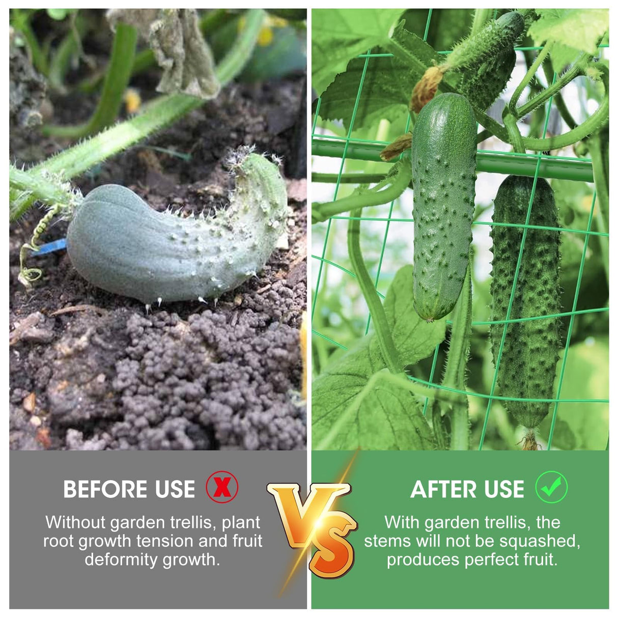 2PCS Cucumber Trellis for Climbing Plants Outdoor, Garden Trellis for Raised Bed Garden,Vegetable Grow Supports with Climbing Net for Tomato Bean Squash, Grape Zucchini (2PCS)