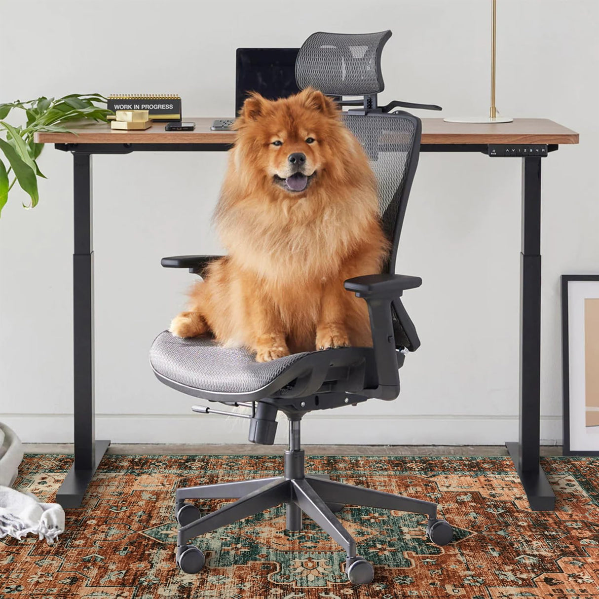 Anidaroel 36"x48" Chair Mat for Hardwood Floor/Tile Floor, Desk Chair Mat for Hard Floors, Under Desk Rug Protector for Rolling Chair, Computer Gaming Chair Mat, Low Pile Carpet Floor Mat