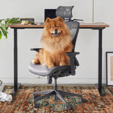 Anidaroel 36"x48" Chair Mat for Hardwood Floor/Tile Floor, Desk Chair Mat for Hard Floors, Under Desk Rug Protector for Rolling Chair, Computer Gaming Chair Mat, Low Pile Carpet Floor Mat