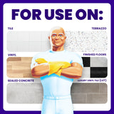 Mr. Clean PRO All Purpose Floor Cleaner, Bulk Liquid Concentrate for Cleaning Hardwood, Tile or Terrazzo Floors, Commercial Use, 1 gal (Case of 3)