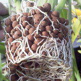 Pulovin 15 lbs LECA Clay Pebbles for Plants, 4-16mm LECA Balls for Indoor Plants Drainage, Hydroponics, Aquaponics, Natural Clay Balls for Soil Root Development, Orchid Potting Mix
