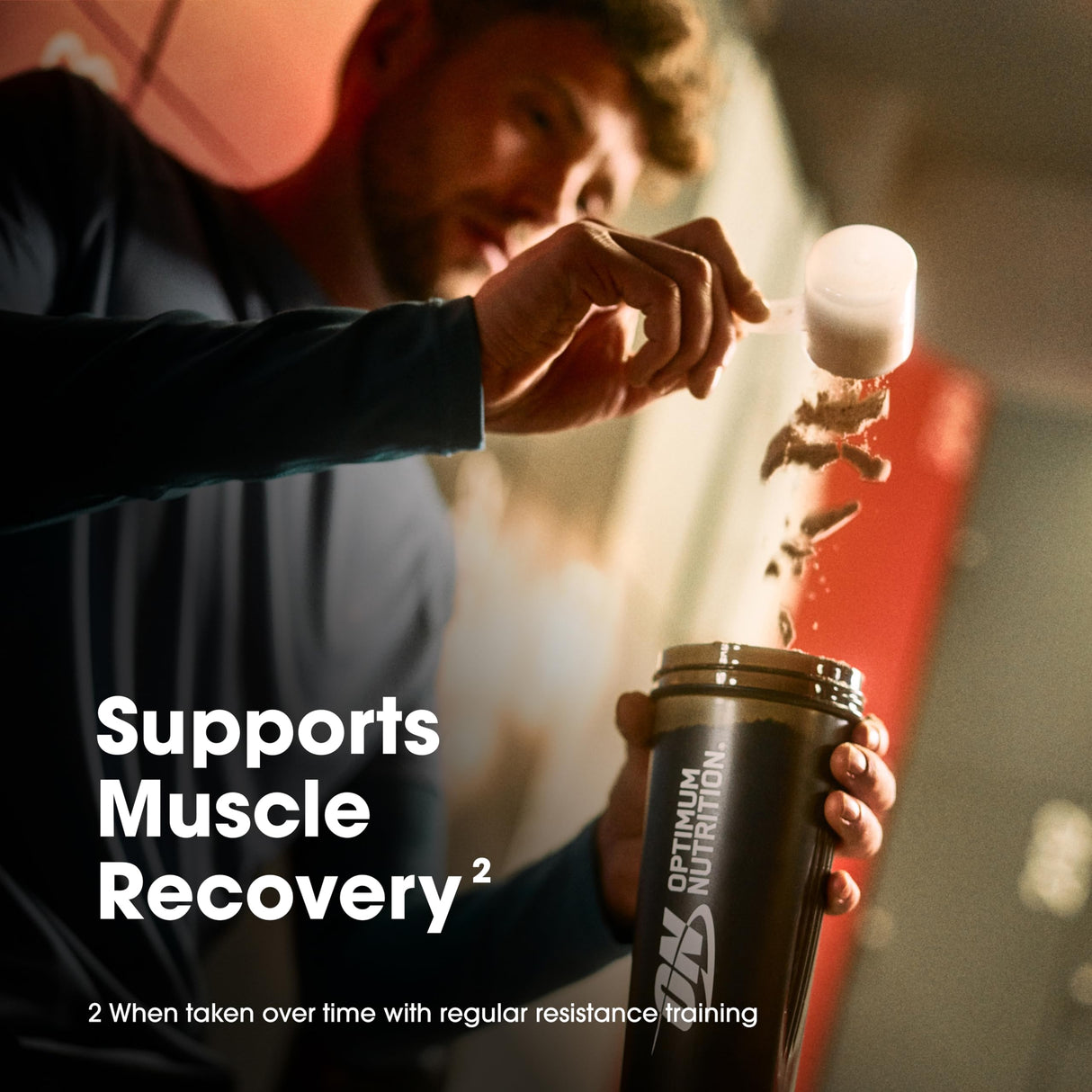 Optimum Nutrition Gold Standard 100% Whey Protein Powder, Cinnamon Roll, 1 Pound (Pack of 1)