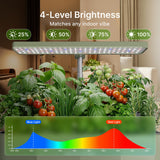 SUNCOZE Hydroponics Growing System, Compact 12 Pods Indoor Garden, Green
