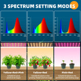 Barrina Grow Lights for Indoor Plants, 20W (2 x 10W) Full Spectrum Ultra-Thin Grow Light Panel with 3/6/12H Auto On/Off Timer for Hydroponics, Seedlings, Succulents, Veg, Flowers & More, 2-Pack
