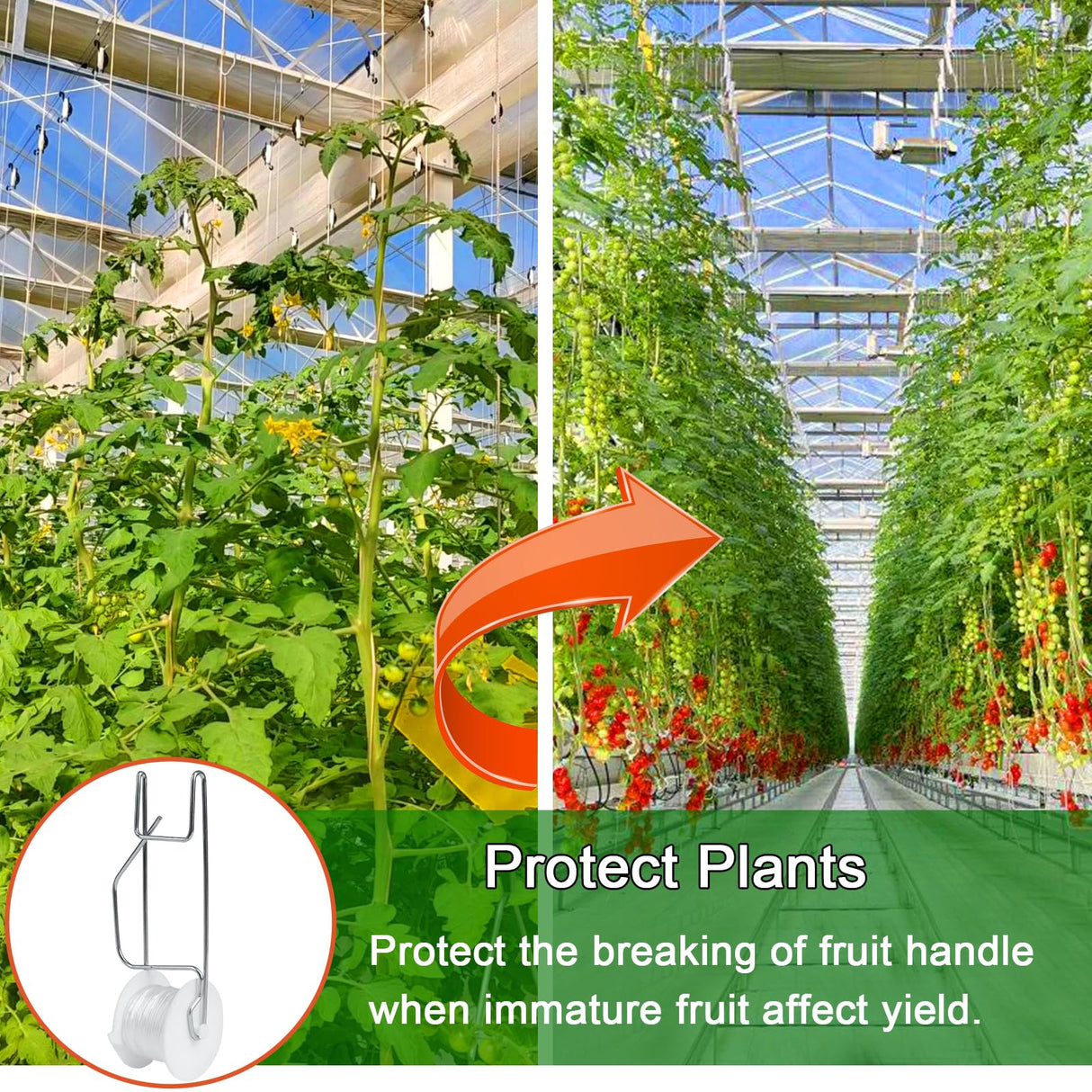 Hidbot Tomato Support Hooks with String 20 Pcs,100 Pcs Plant Support Clips for Climbing Plants,Tomato Trellis Roller Hooks with 49.2FT String,Reusable Grape Vine Clips to Prevent Tomatoes