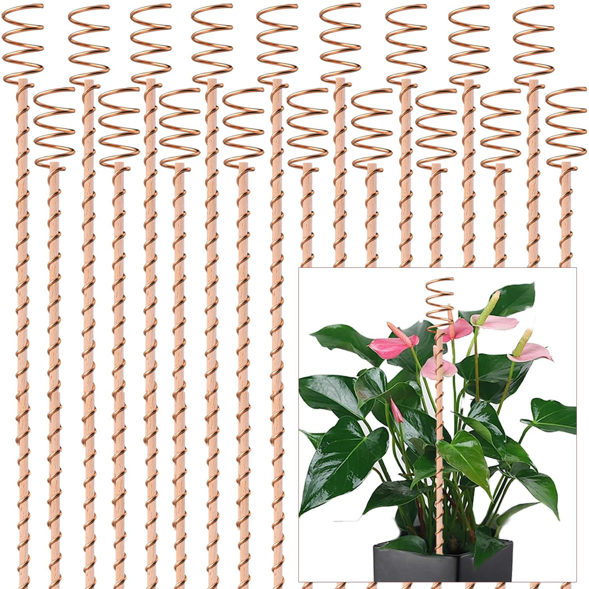 18Pack Electroculture Plant Stakes, 12" Electroculture Copper Gardening Antenna, Copper Coil Plant Stakes for Garden,Garden Stakes for Plants Fruits Vegetables Growth,Eco-Friendly,High-Yield
