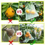 SmileLucky 100PCS Fruit Protection Bags with Drawstring, 8x12 Inch Green Organza Produce Bags for Fruit Trees, Mesh Netting for Garden Protection