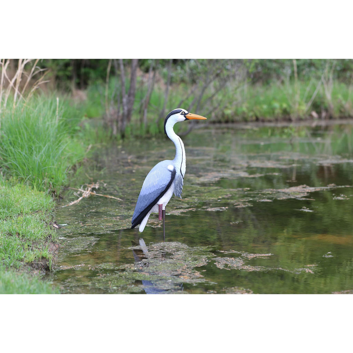 Higdon Outdoors Blue Heron Confidence Decoy for Waterfowl and Ornamental Water Garden, Pond and Landscape Decoration Plus Pest Deterrent
