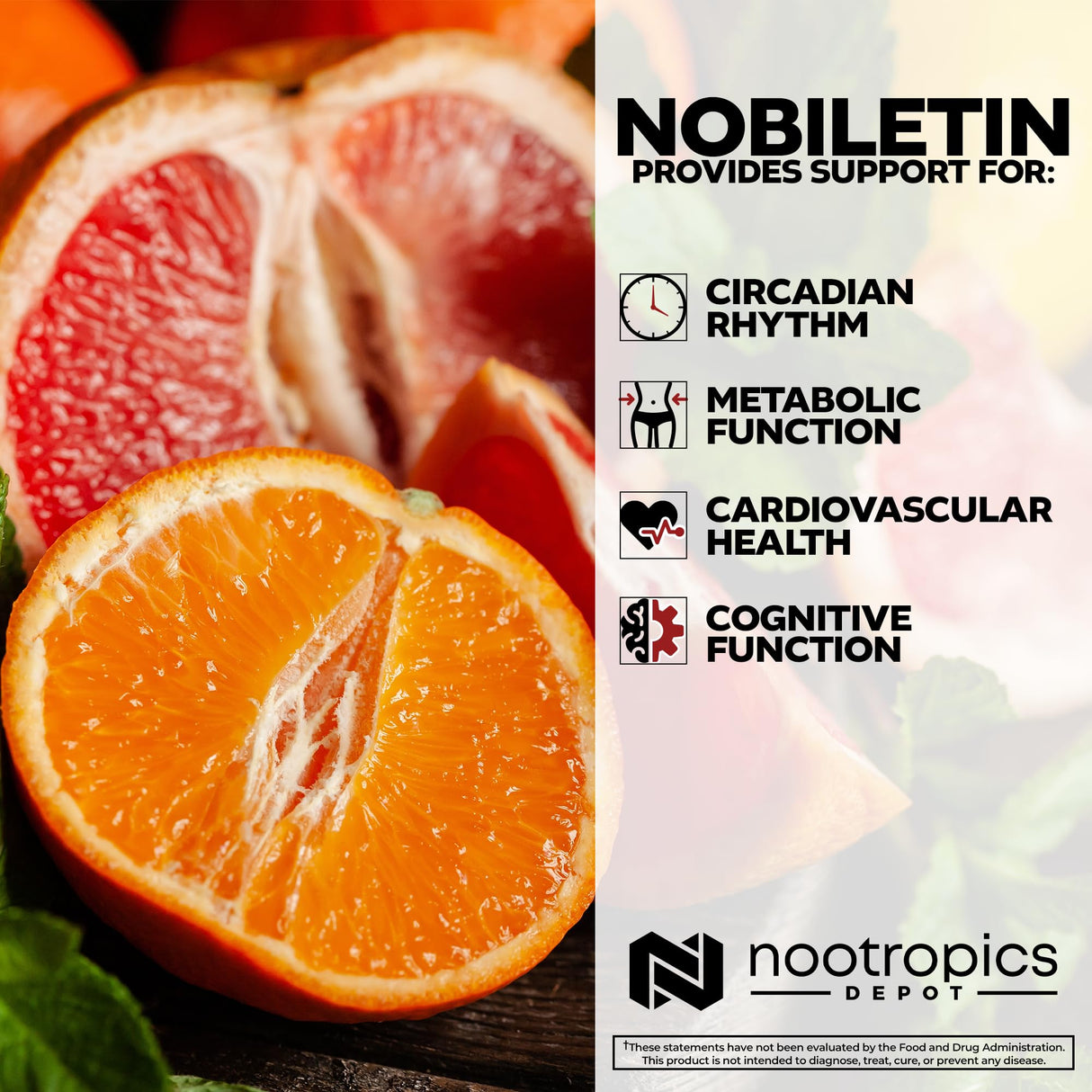 Nootropics Depot Nobiletin Capsules | 250mg | 30 Count | 20% Extract | Citrus aurantium | May Help Suppot Cognitive & Metabolic Function | May Help Promote Cardiovascular Function
