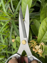 Horsvill Indoor Plant Shears Garden Scissors, Flower Pruners Made of Japan SK5 Stainless Steel, Flowers Herbs and Plant Cutters, Clippers, Trimmers, Loppers, Bonsai Potted Plant Pruning Scissors