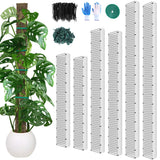 MUDEREK 6 Pack D Shape Sphagnum Moss Pole-24+40"+60"