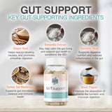 IBDassist™ Gut Support Capsule - Gut Health & Digestion Supplement - Constipation & Occasional Bloating Relief for Women & Men* - Complete with Vitamin D3, A, E, Zinc & More - 30 Capsules