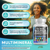 2 Pack Clean Nutraceuticals Sea Moss Black Seed Oil Ashwagandha Turmeric Bladderwrack Burdock & Vitamin C Vitamin D3 with Elderberry Manuka Dandelion Yellow Dock Iodine Chlorophyll ACV