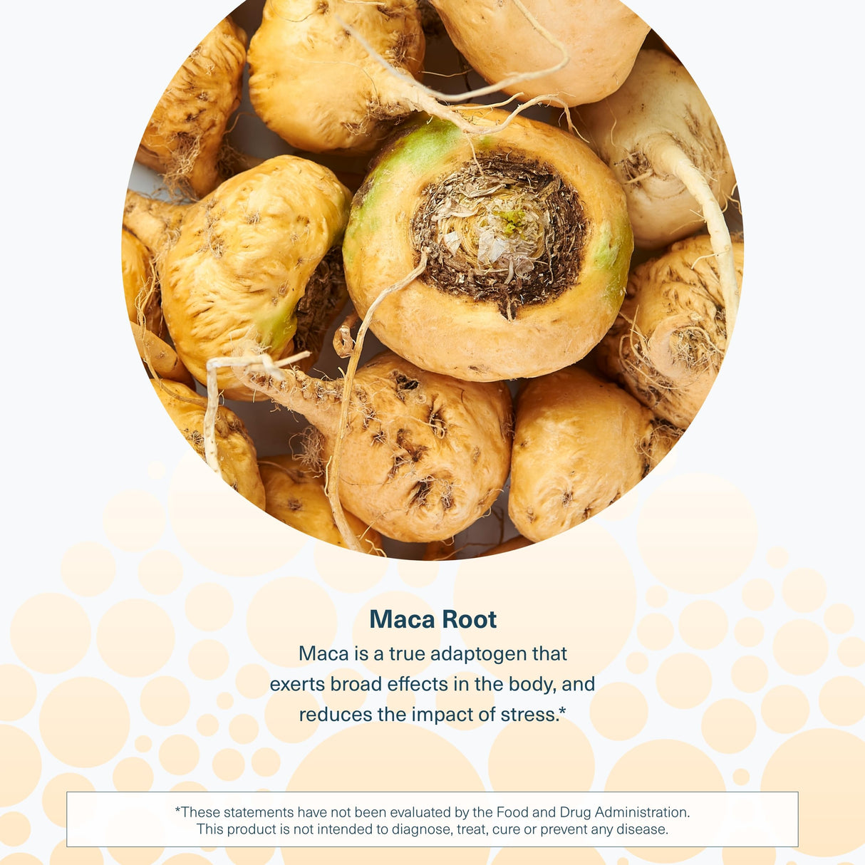 Youtheory Women's Maca Root - Vegan Energy & Menopause Support Supplement with Peruvian Ginseng* - Premium Supplement for Women - Dairy, Soy & Gluten Free - 120 Vegetarian Capsules