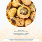 Youtheory Women's Maca Root - Vegan Energy & Menopause Support Supplement with Peruvian Ginseng* - Premium Supplement for Women - Dairy, Soy & Gluten Free - 120 Vegetarian Capsules