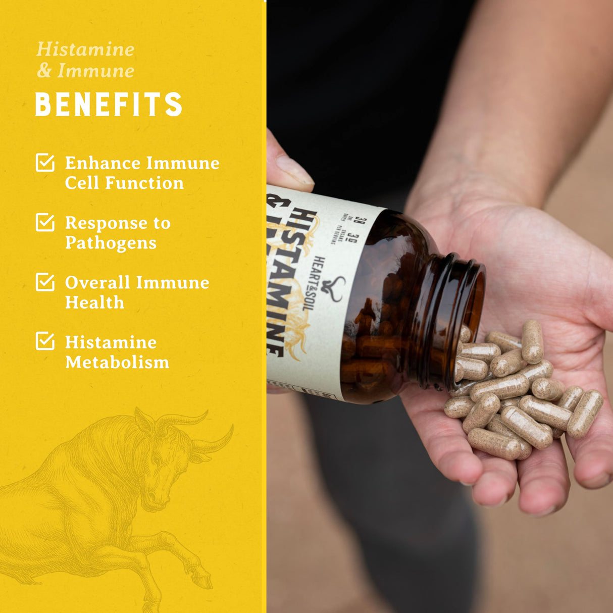 HEART & SOIL Histamine and Immune Support – 3000mg DAO Enzyme Supplements with Bovine Thymus, Selenium & Vitamin A – Non-GMO, Allergen-Free – 180 Capsules