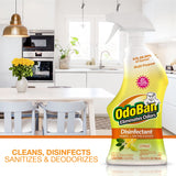 OdoBan Ready-to-Use Disinfectant and Odor Eliminator, Made in the USA, Citrus Scent, Set of 2, 32 oz Spray and 1 Gallon Concentrate