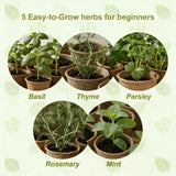 5 Herb Garden Kit with Wooden Box – Basil, Thyme, Parsley, Rosemary, Mint – Windowsill Herb Garden for Kitchen – Mother’s Day Gift for Mom, Gardening Gift for Women – Birthday Housewarming