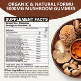 2 Packs 5000MG Mushroom Gummies -10 Blend Organic Mushroom Supplement containing Lion's Mane and Reishi for Brain and Immune Boosting, Vegan Blueberry Flavor, Non-GMO, 120 Counts