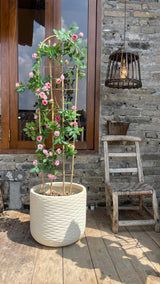 Bamboo Trellis,U-Shape Bamboo Trellis,4Feet,3pack,for Climbing Plants Outdoor Bamboo,for,Climbing Plants,Tomato, Vegetables,Flowers, Beans, Cucumber,Indoor Potted Climb Plants