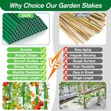 Qinzave 256PCS Garden Stakes Set with 75PCS 16 Inch Fiberglass Plant Sticks and Stake Arms, DIY 4ft 5ft 6ft 7ft 8ft Tomato Stakes, Garden Stakes for Vegetables Tomato Pepper Indoor Outdoor Plants