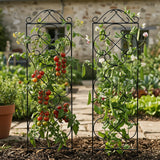 Thealyn 4 Pack 48" x 12.5" Metal Trellis for Potted Plants and Planters