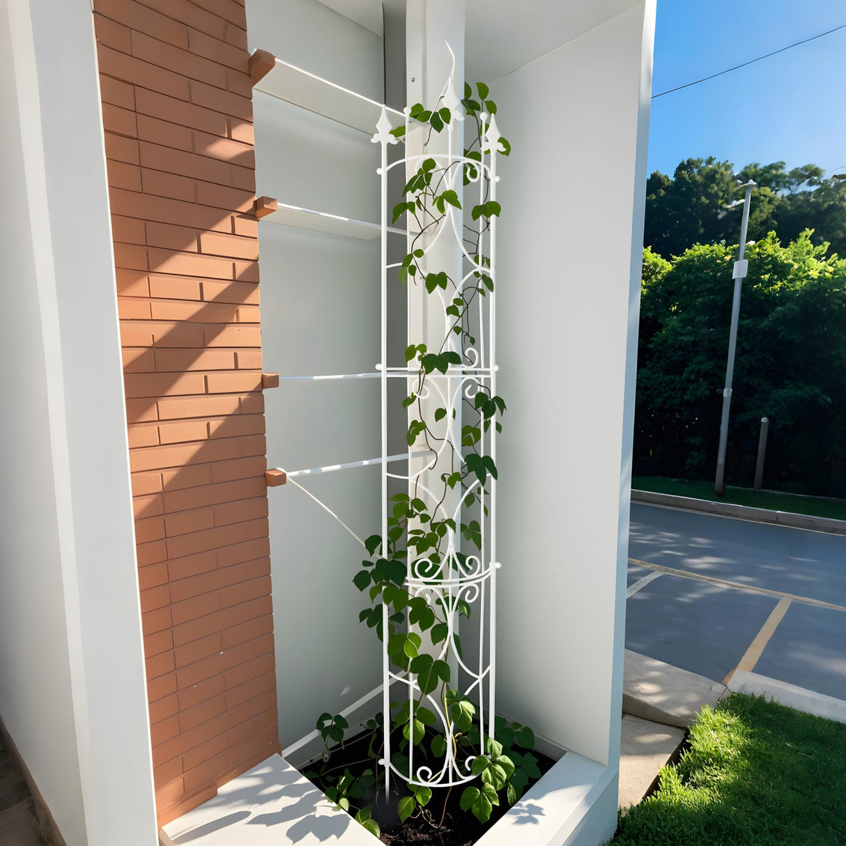 Thealyn Garden Trellis 2 Pack 72'' H x 12'' W Metal Plant Trellis