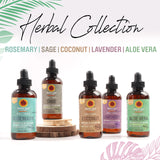 Herbal Collection Jamaican Black Castor Oil (Rosemary) 4oz | Revitalizing & Nourishing Oil for Hair, Skin & Scalp | Promotes Hair Growth, Stimulates Scalp & Adds Shine | Paraben-Free & Cruelty-Free