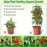 Fabulas Tomato Cage, Square Tomato Trellis Plant Support Stake Cages for Garden and Pots Tall Up to 63 Inch Adjustable Cucumber Trellis for Raised Bed Outdoor Climbing Plants Vegetables Flower, 3 Pack