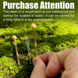 Mumutie 16-Pack Mini Mushrooms for Crafts - Terrarium Decor for DIY Miniature Landscapes & Garden Mushrooms - Desktop Ornaments & Christmas Decorations.