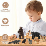 Toymany 12PCS North American Forest Animal Figurines, Realistic Jungle Animal Set Includes Moose,Cougar,Wolf,Bear,Eagle,Deer Educational Toy Cake Toppers Christmas Birthday Gift for Toddlers Kids 3-5