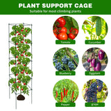 LAKNUAL 6 Packs Tomato Cages for Garden, 12"×12"×56" Plant Support Cage with Different Spacing, Green Metal Trellis for Climbing Plants Like Cucumber, Flowers