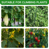 Cucumber Trellis for Raised Beds - Sturdy Arch Trellis for Peas, Beans & Climbing Plants | Outdoor Vegetable Support, Garden Trellis Kit (63" Lx30 Wx48 H)