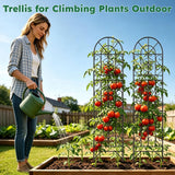 Shomextol 2 Pcs 60" H X 11.8" W Trellis for Climbing Plants Outdoor, Small Metal Garden Trellis for Outside, Sturdy Support Garden Plant Trellis Arch for Rose Cucumber Flower Vine Decor