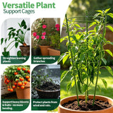 Gootaimi Large Tomato Cages, 24 Inch Tomato Cages for Garden, Plant Support Cages for Tomatoes, Potted Indoor Outdoor Plants, Flower Vine Climbing Plant Tomatoes Trellis, 2 Packs