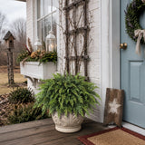 2Pcs Artificial Cedar Potted Plant Christmas Greenery for Front Porch Decor