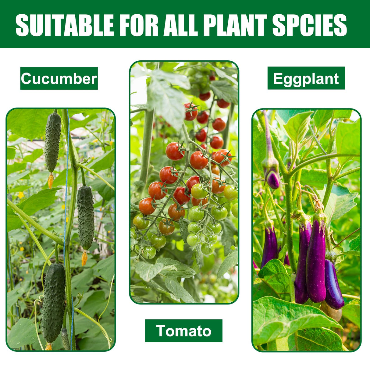 TINGYUAN Garden Stakes 30 Inches Steel Plant Stakes Tomato Stakes Pack of 25