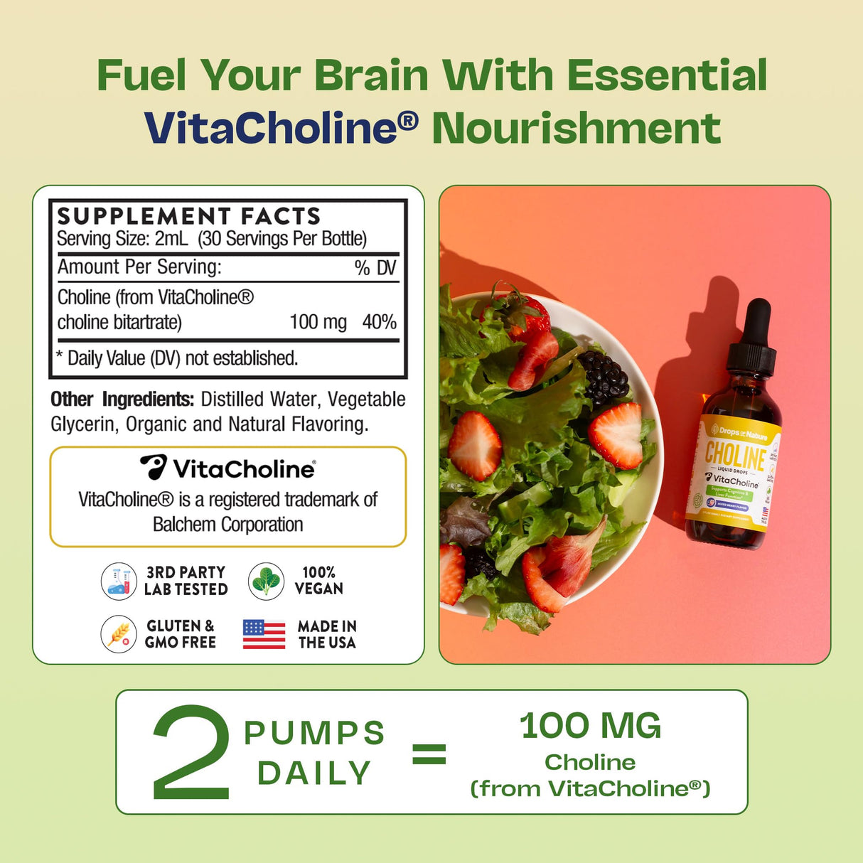 Choline Liquid Drops Supplement – Vegan, Gluten-Free, GMO-Free, Easy Absorption Formula – With Essential Nutrients for Brain Health and Vitality – Complements Inositol Supplements (Mixed Berry, 60 mL)