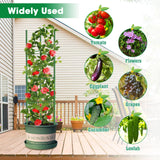 6 Pack Tomato Cages, 51.2in Tomato Plant Support Stakes Heavy-Duty, Garden Tomato Cages & Trellis for Climbing Vegetables, Tomatoes, Peppers, and Potted Plants(6)