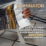 10 Pound Titanium Gray DOMINATOR Polymeric Sand with Revolutionary Ceramic Flex Technology for Stabilizing Paver Joints/Gaps, 1/8” up to 4”, Professional Grade Results