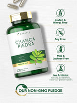 Carlyle Chanca Piedra | 200 Capsules | Non-GMO and Gluten Free Traditional Herb Formula
